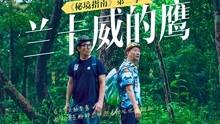 从现在开始准备十二月份考研，现在应该怎么办？